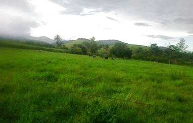 Imagem: A chácara possui 5 Dormitórios, 1 Suíte, 1 Banheiro, 4 Vagas