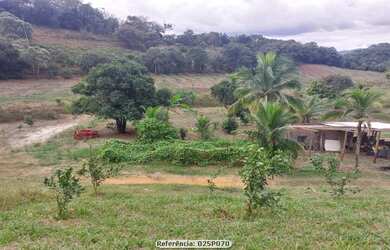 Imagem: Sítio para Venda em Cachoeiras de Macacu, Papucaia, 2 dormitórios