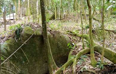 Imagem: O terreno possui 540m² de Área e está localizado em Guapiaçu