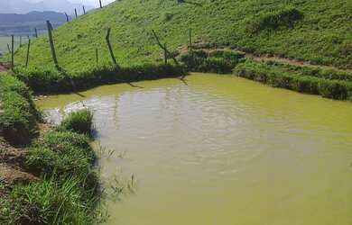 Imagem 6: Sítio para Venda em Cachoeiras de Macacu, Papucaia, 2 dormitórios, 1...