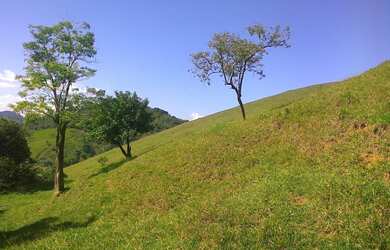 Imagem 11: Sítio para Venda em Cachoeiras de Macacu, Papucaia, 2 dormitórios, 1...
