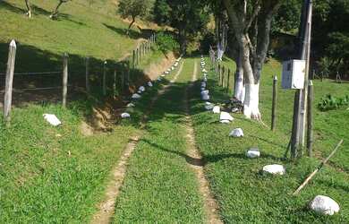 Imagem 12: Sítio para Venda em Cachoeiras de Macacu, Papucaia, 2 dormitórios, 1...