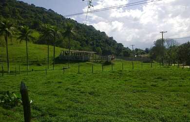 Imagem 14: Sítio para Venda em Cachoeiras de Macacu, Papucaia, 2 dormitórios, 1...