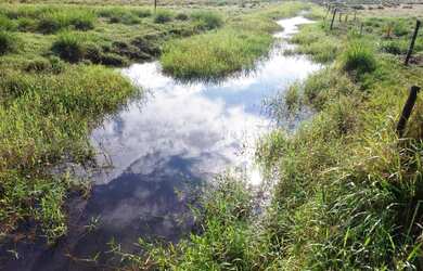Imagem 8: Sítio para Venda em Cachoeiras de Macacu, Papucaia, 2 dormitórios, 1...
