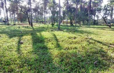 Imagem 16: Sítio para Venda em Cachoeiras de Macacu, Papucaia, 2 dormitórios, 1...