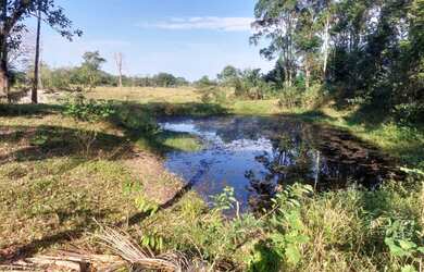 Imagem 15: Sítio para Venda em Cachoeiras de Macacu, Papucaia, 2 dormitórios, 1...