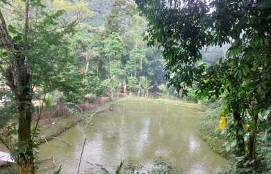 Imagem 14: Sítio para Venda em Cachoeiras de Macacu, Papucaia, 6 dormitórios, 1...