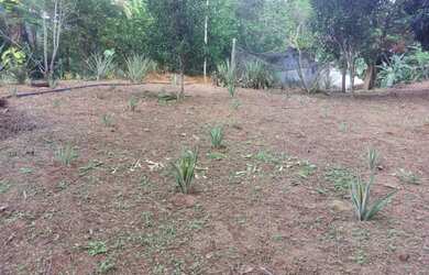 Imagem 16: Sítio para Venda em Cachoeiras de Macacu, Papucaia, 6 dormitórios, 1...