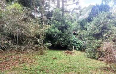 Imagem 5: Sítio para Venda em Nova Friburgo, Conquista, 2 dormitórios, 1 suíte,...