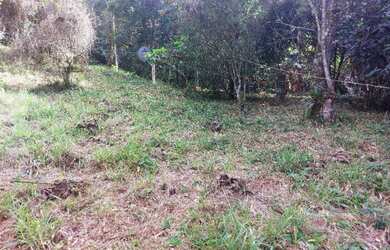 Imagem 8: Sítio para Venda em Nova Friburgo, Conquista, 2 dormitórios, 1 suíte,...