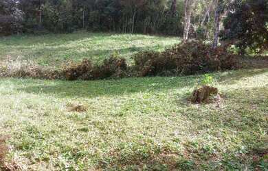 Imagem 10: Sítio para Venda em Nova Friburgo, Conquista, 2 dormitórios, 1 suíte,...