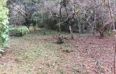 Imagem 12: Sítio para Venda em Nova Friburgo, Conquista, 2 dormitórios, 1 suíte,...