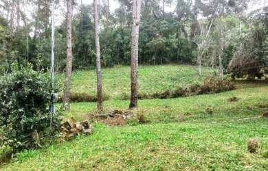 Imagem 14: Sítio para Venda em Nova Friburgo, Conquista, 2 dormitórios, 1 suíte,...
