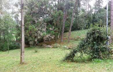 Imagem 13: Sítio para Venda em Nova Friburgo, Conquista, 2 dormitórios, 1 suíte,...