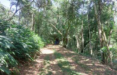 Imagem 4: Sítio para Venda em Silva Jardim, Papucaia, 4 dormitórios, 2 suítes,...