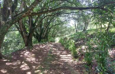 Imagem 5: Sítio para Venda em Silva Jardim, Papucaia, 4 dormitórios, 2 suítes,...