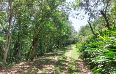 Imagem 13: Sítio para Venda em Silva Jardim, Papucaia, 4 dormitórios, 2 suítes,...