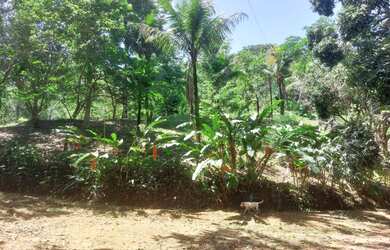 Imagem 12: Sítio para Venda em Silva Jardim, Papucaia, 4 dormitórios, 2 suítes,...