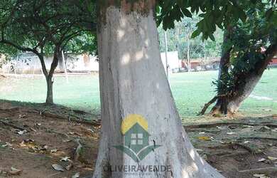 Imagem 13: Sítio para Venda em Magé, Jardim de Prata, 7 dormitórios, 3 suítes,...