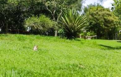 Imagem: O terreno possui 1.000m² de Área e está localizado em Bom