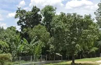 Imagem: A chácara possui 3 Dormitórios, 1 Suíte, 2 Banheiros, 5 Vagas