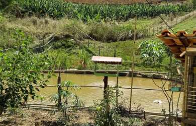Imagem 6: Chácara, 1500m², à venda em Ubaporanga, Corrego das Palmeiras