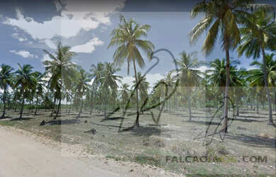 Imagem: O terreno está localizado em Sítio do Conde, Conde à venda