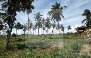 Imagem: O terreno e está localizado em São Cristóvão, Salvador à
