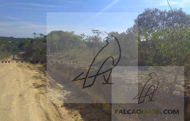 Imagem: O terreno está localizado em São Cristóvão, Salvador à