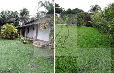 Imagem: A fazenda à venda possui 3 Dormitórios, 1 Suíte, 1 Banheiro