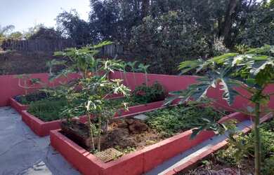 Imagem 9: Vende sitio cristais paulista em cristais paulista