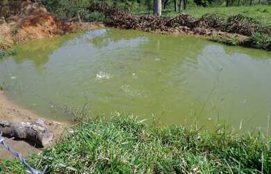 Imagem 7: Vende chacara fazenda pouso alegre em cristais paulista