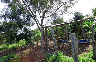 Imagem 8: Vende chacara fazenda pouso alegre em cristais paulista