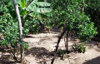 Imagem 6: Vende chacara fazenda pouso alegre em cristais paulista