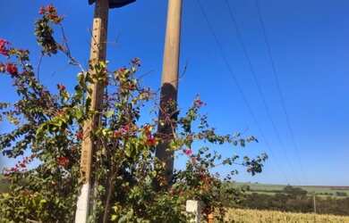 Imagem: A chácara possui 3 Dormitórios, 2 Banheiros, 120m² de Área