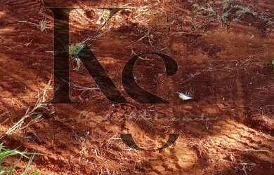 Imagem 5: Terreno para Venda em Ribeirão Preto / SP no bairro Bonfim Paulista