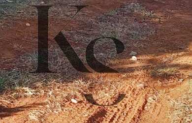 Imagem 6: Terreno para Venda em Ribeirão Preto / SP no bairro Bonfim Paulista