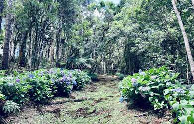 Imagem 5: Chácara à venda em Piraquara, com 2 quartos, 46170m²