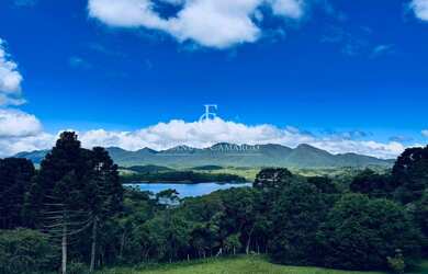 Imagem 7: Chácara à venda em Piraquara, com 2 quartos, 46170m²