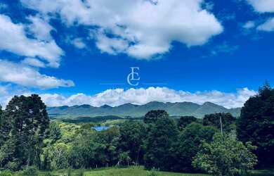 Imagem 8: Chácara à venda em Piraquara, com 2 quartos, 46170m²