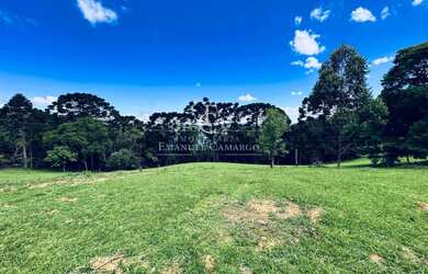 Imagem 14: Chácara à venda em Piraquara, com 2 quartos, 46170m²