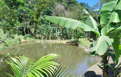 Imagem: A chácara à venda possui 3 Dormitórios, 1 Suíte, 2 Banheiros