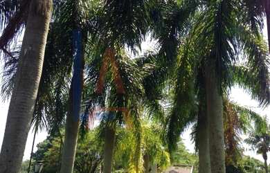 Imagem: A chácara possui 4 Dormitórios, 1 Suíte, 3 Banheiros, 4 Vagas