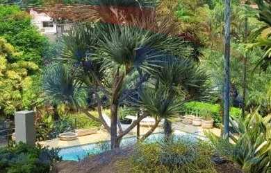 Imagem 13: Chácara Condomínio para Venda, Terras De Itaici Indaiatuba SP