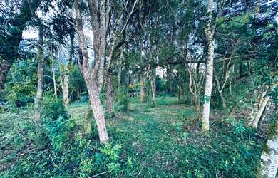 Imagem 6: Chácara a venda em Piraquara