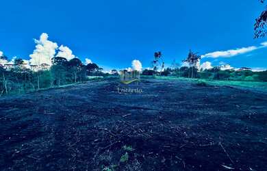 Imagem 8: Chácara a venda em Piraquara