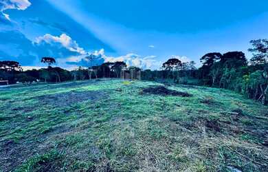 Imagem 10: Chácara a venda em Piraquara