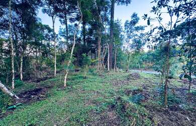 Imagem 11: Chácara a venda em Piraquara