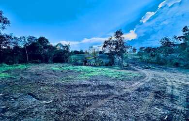 Imagem 12: Chácara a venda em Piraquara