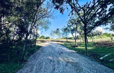 Imagem 14: Chácara a venda em Piraquara